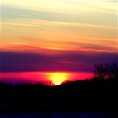 B—sports登录B体育