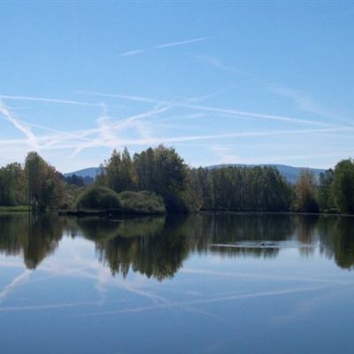 江南官方网站下载app下载