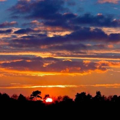 双赢彩票app下载截图